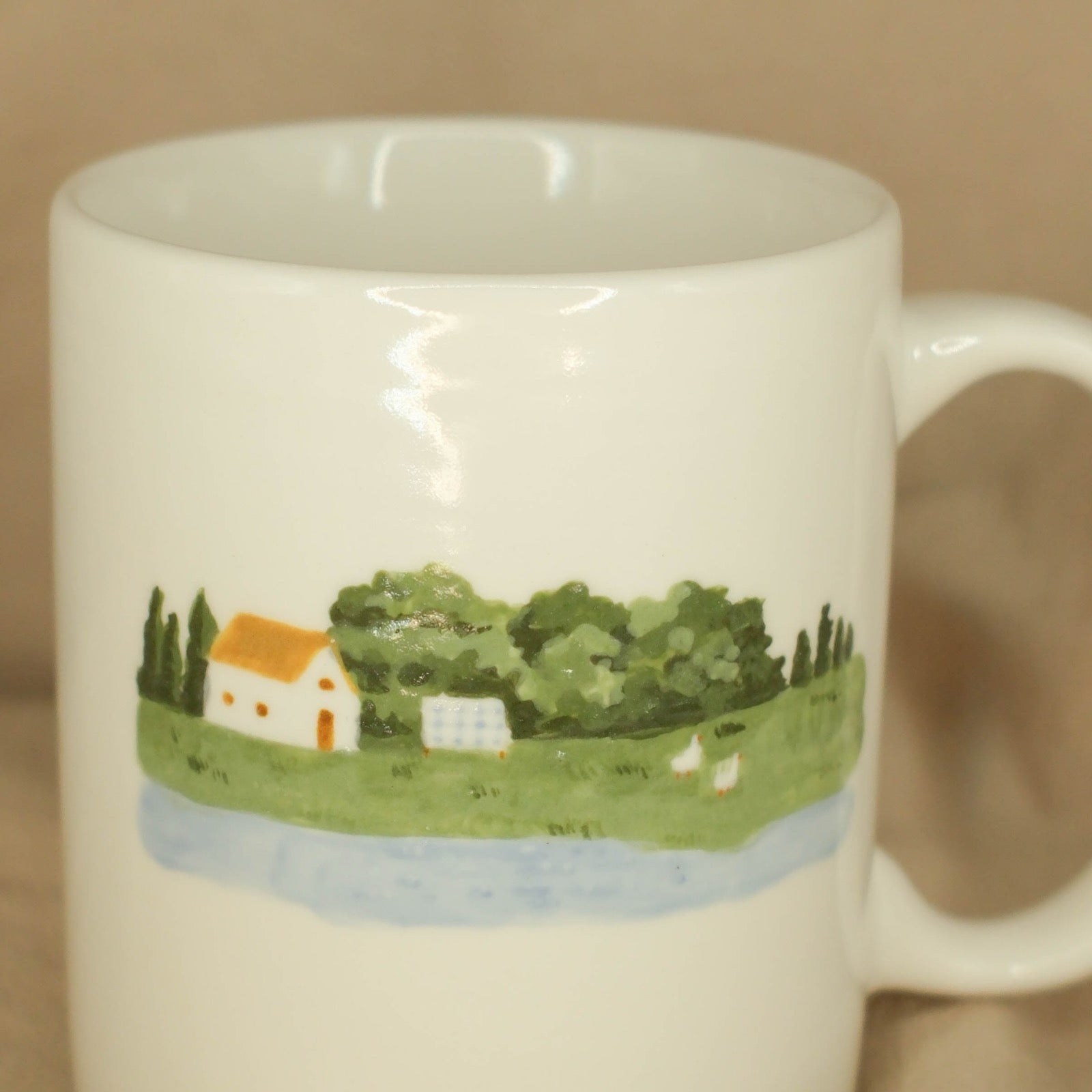 The Ducks, the House, and the Blue Blanket