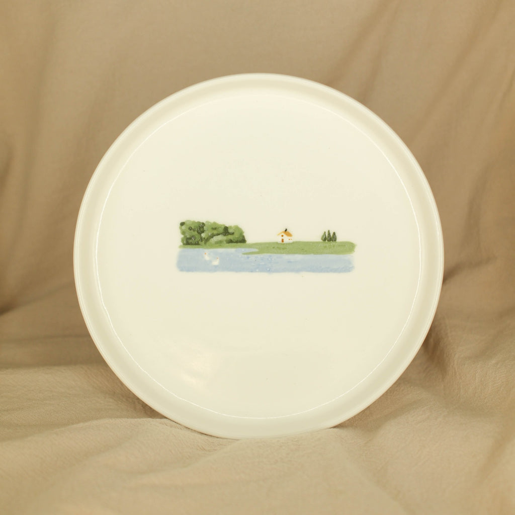 The Cat, the Roof, and Two Ducks Without a Destination