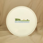 The Cat, the Roof, and Two Ducks Without a Destination