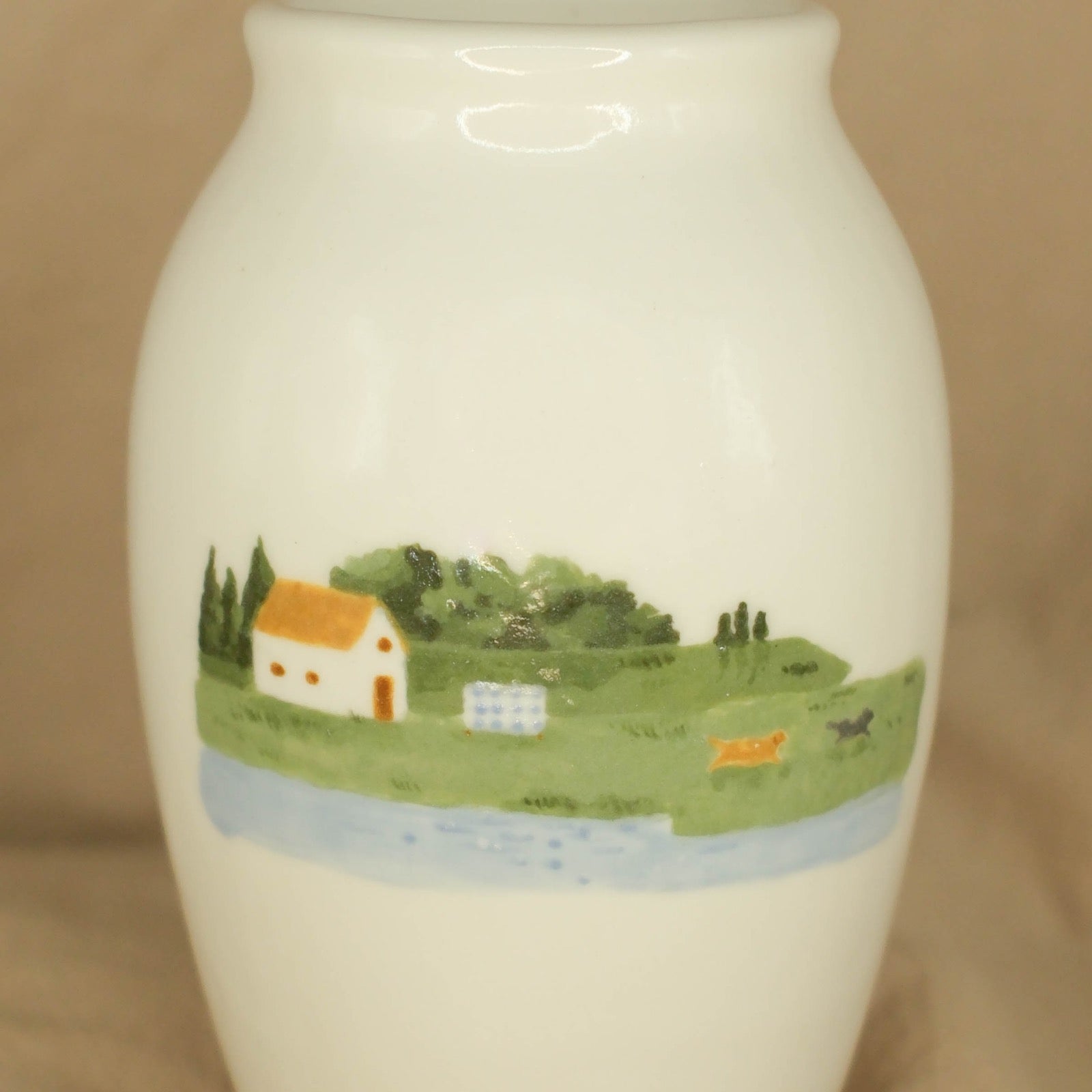 A Home, a Blanket, and Two Dogs Mid-Chase