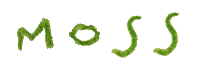 Moss
